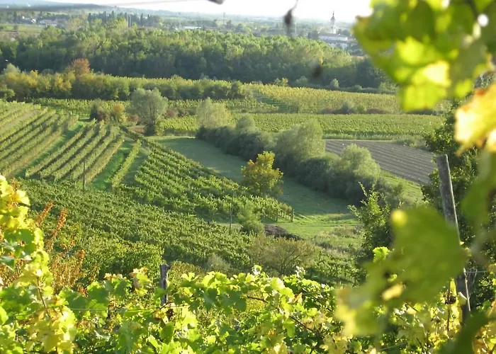 Capriva Del Friuli - Casa Roncus