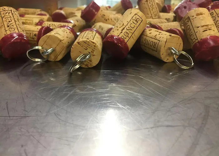 Capriva Del Friuli - Casa Roncus