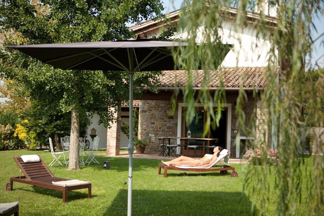 - Casa Roncus